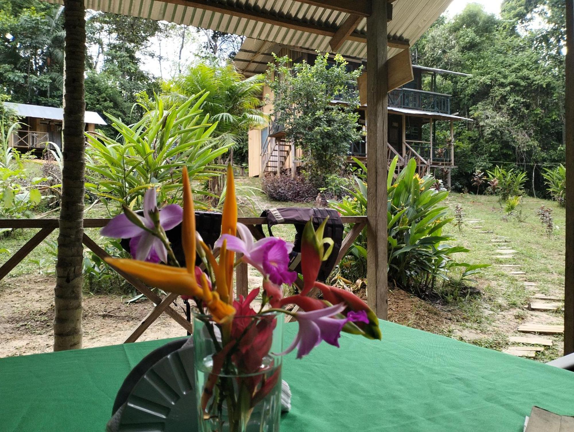 Cabanas Eco Logicas Mu'Ue Loreto Mocagua Luaran gambar