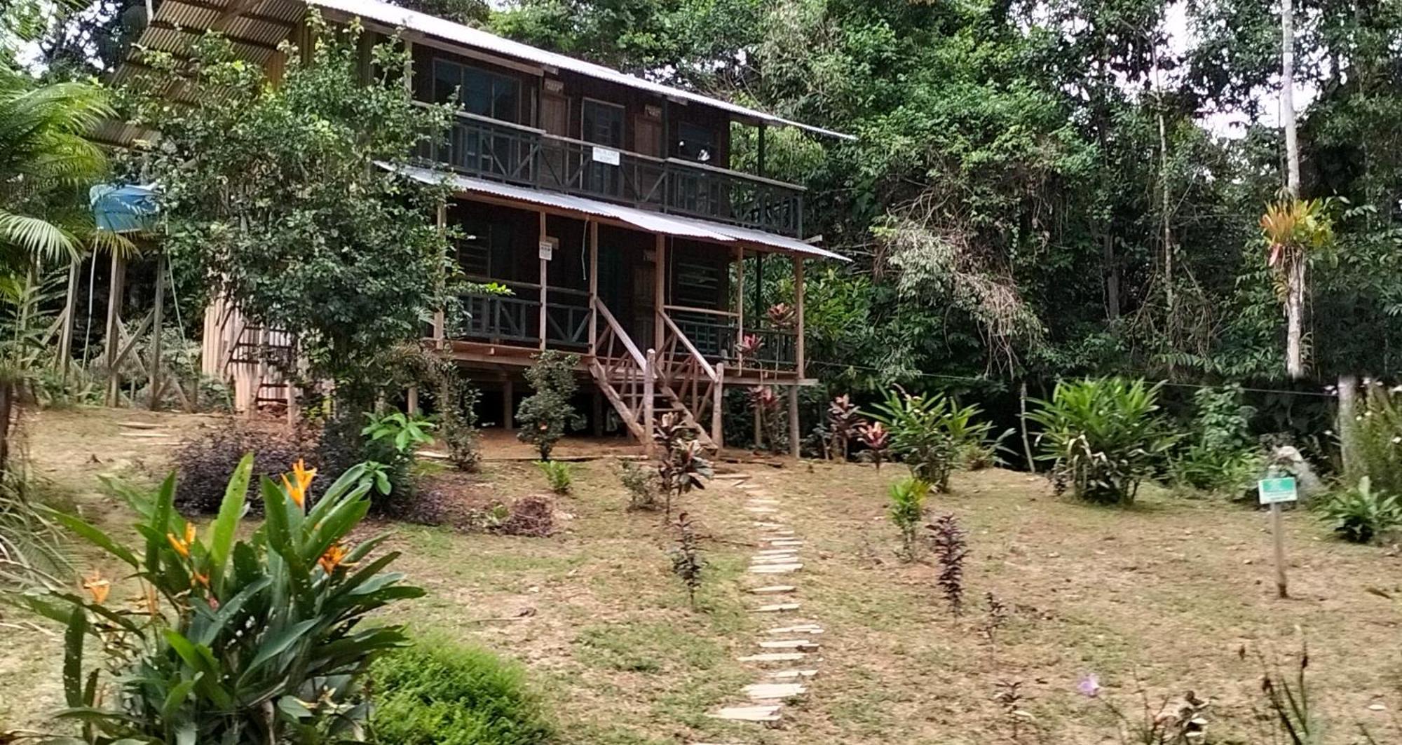 Cabanas Eco Logicas Mu'Ue Loreto Mocagua Luaran gambar