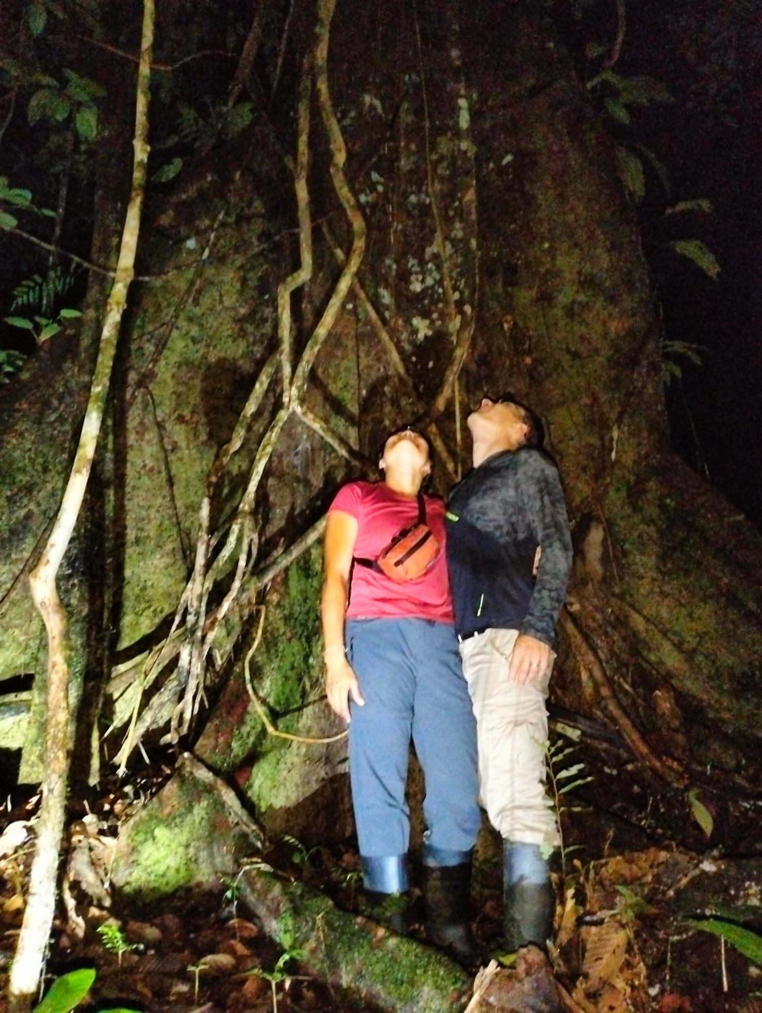 Cabanas Eco Logicas Mu'Ue Loreto Mocagua Luaran gambar